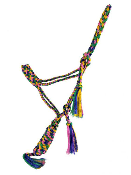 Mule Tape Halter - Rainbow